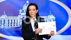 Pretnje Mariniki Tepić